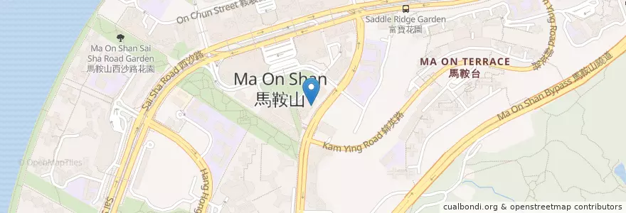 Mapa de ubicacion de 壹席教育 Magic Education en 중국, 홍콩, 광둥성, 신제, 沙田區 Sha Tin District.
