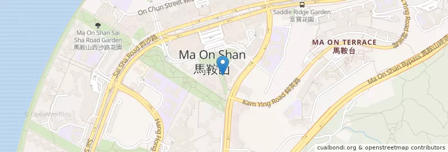 Mapa de ubicacion de 黃偉彪醫生醫務所 en 中国, 香港, 广东省, 新界, 沙田區.