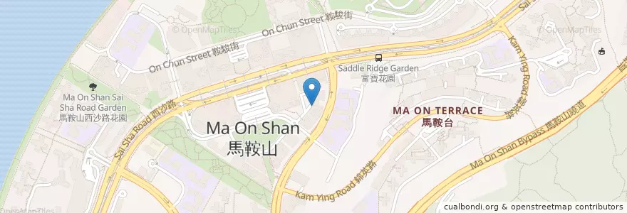 Mapa de ubicacion de 公文式無限教育中心 en 中国, 香港, 广东省, 新界, 沙田區.