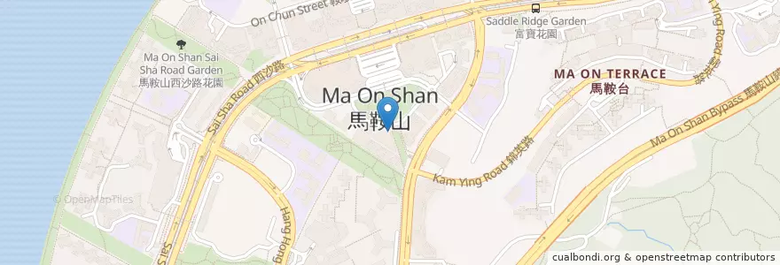 Mapa de ubicacion de 利寶家 en 中国, 香港, 广东省, 新界, 沙田區.
