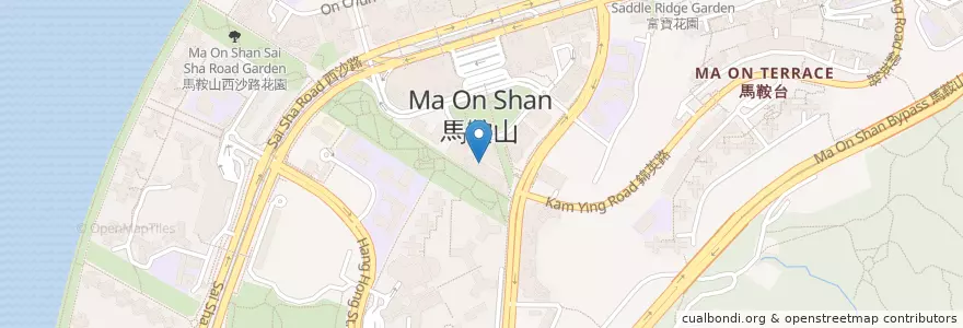 Mapa de ubicacion de 曹雄毅牙科醫生醫務所 Dr. Cho Hung Ngai Dental Clinic en 중국, 홍콩, 광둥성, 신제, 沙田區 Sha Tin District.