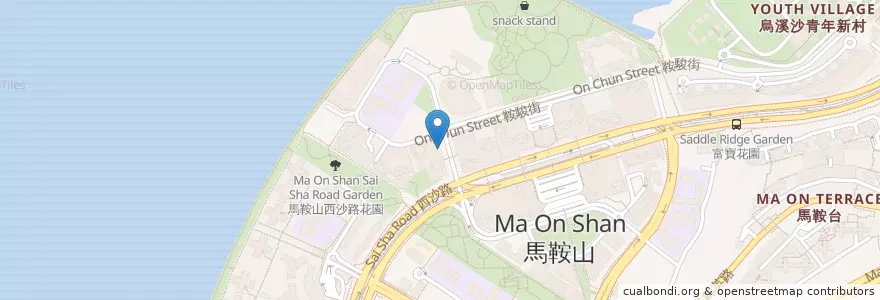 Mapa de ubicacion de 蛇王海 en 中国, 香港 Hong Kong, 广东省, 新界 New Territories, 沙田區 Sha Tin District.