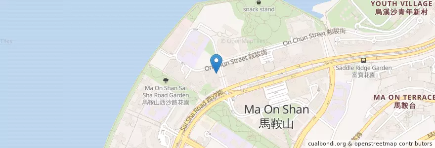 Mapa de ubicacion de 金興小廚 en 중국, 홍콩, 광둥성, 신제, 沙田區 Sha Tin District.
