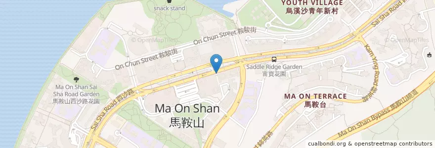 Mapa de ubicacion de 天河食坊 en Cina, Hong Kong, Guangdong, Nuovi Territori, 沙田區 Sha Tin District.