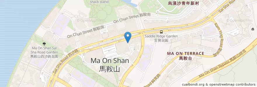 Mapa de ubicacion de 新海楓茶餐小廚 en 中国, 香港 Hong Kong, 广东省, 新界 New Territories, 沙田區 Sha Tin District.