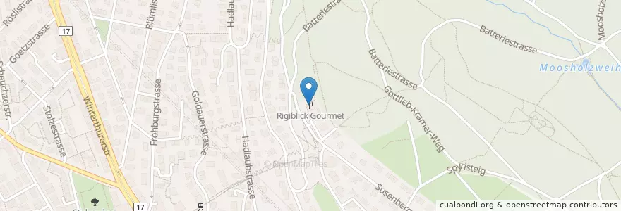 Mapa de ubicacion de Rigiblick Gourmet en Suisse, Zurich, District De Zurich, Zurich.