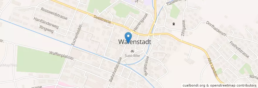 Mapa de ubicacion de Raiffeisenbank Walenstadt en Suisse, Saint-Gall, Wahlkreis Sarganserland, Walenstadt.