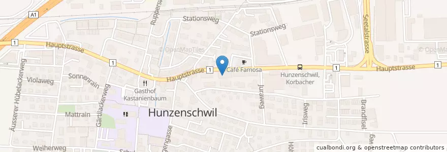 Mapa de ubicacion de Praxis für Zahnprothetik en Швейцария, Аргау, Bezirk Lenzburg, Hunzenschwil.