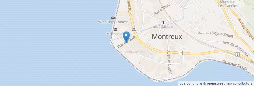 Mapa de ubicacion de Le Basilic en Suiza, Valdia, Montreux.