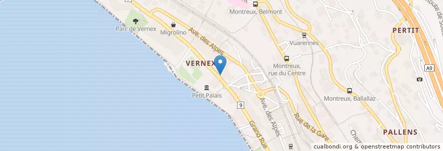 Mapa de ubicacion de Pharmacie du Palace en 瑞士, Vaud, District De La Riviera-Pays-D’Enhaut, Montreux.