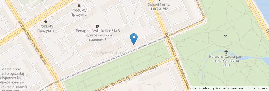 Mapa de ubicacion de Детская библиотека en Russia, Northwestern Federal District, Leningrad Oblast, Saint Petersburg, Nevsky District, Обуховский Округ.
