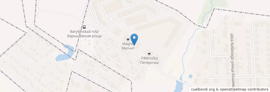 Mapa de ubicacion de Горздрав en Rusland, Centraal Federaal District, Moskou, Новомосковский Административный Округ, Городской Округ Щербинка.