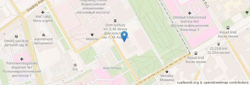 Mapa de ubicacion de Oscar's en ロシア, 北西連邦管区, レニングラード州, サンクト ペテルブルク, Василеостровский Район, Округ Гавань.