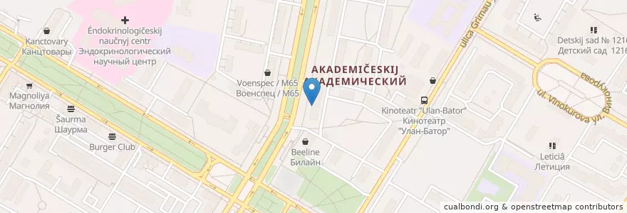 Mapa de ubicacion de Шаурма en Rússia, Distrito Federal Central, Москва, Юго-Западный Административный Округ, Академический Район.