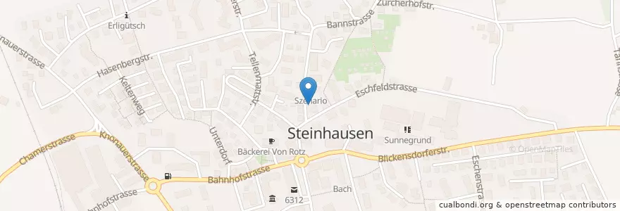 Mapa de ubicacion de Masuree Thai Shop en Zwitserland, Zug, Steinhausen.