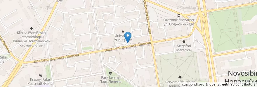 Mapa de ubicacion de Дядя Дёнер en Rusia, Сибирский Федеральный Округ, Wilayah Novosibirsk, Городской Округ Новосибирск.