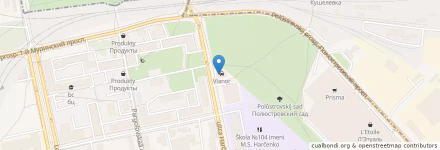 Mapa de ubicacion de Vianor en Russland, Föderationskreis Nordwest, Oblast Leningrad, Sankt Petersburg, Wyborger Rajon.