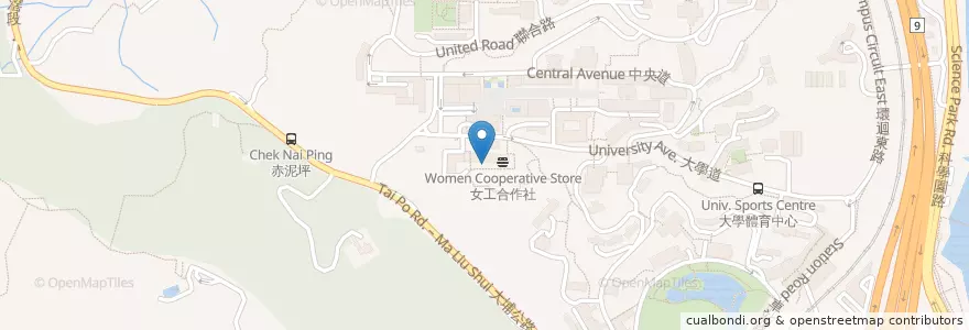 Mapa de ubicacion de 一起素 Vegether en Çin, Hong Kong, Guangdong, Yeni Bölgeler, 沙田區 Sha Tin District.