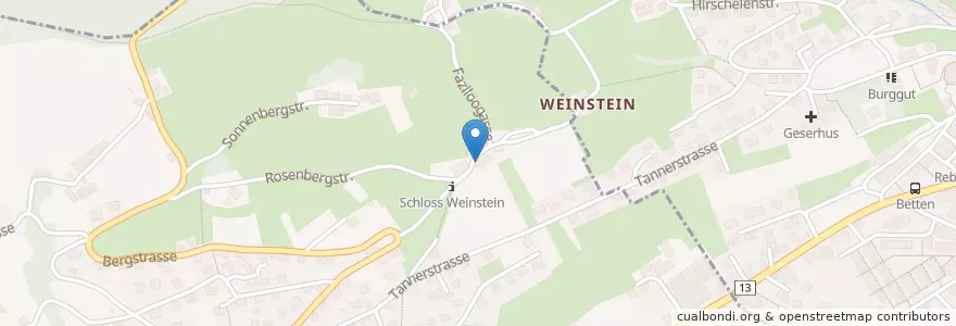 Mapa de ubicacion de Schloss Weinstein en 瑞士, Sankt Gallen, Wahlkreis Rheintal.