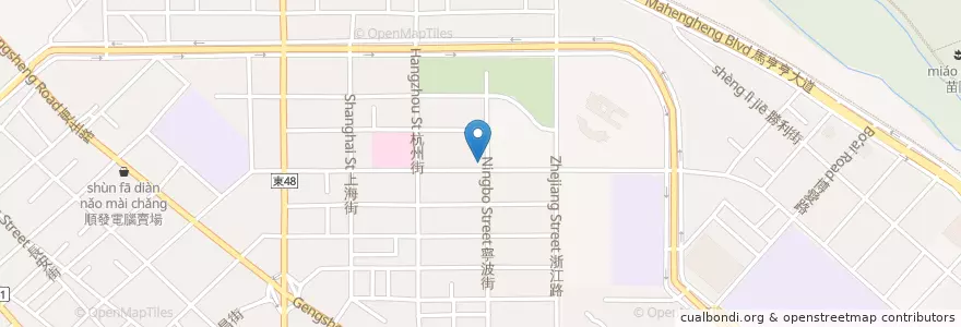 Mapa de ubicacion de 真好味拿手菜 en تایوان, 臺灣省, 臺東縣, 臺東市.