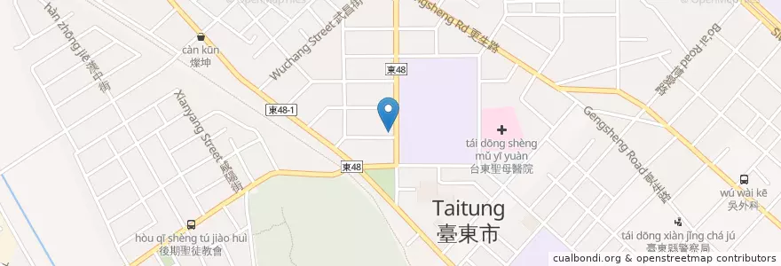 Mapa de ubicacion de 陳紅心豬肉麵 en 台湾, 台湾省, 台東県, 台東市.