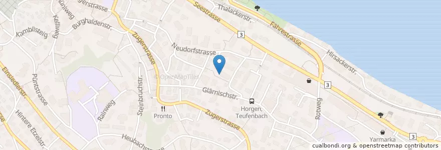 Mapa de ubicacion de Kindergarten Winkel Wegli en Svizzera, Zurigo, Bezirk Horgen, Horgen.