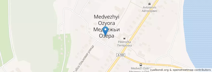 Mapa de ubicacion de Медвежье–Озёрская амбулатория en Russia, Central Federal District, Moscow Oblast, Shchyolkovsky District.