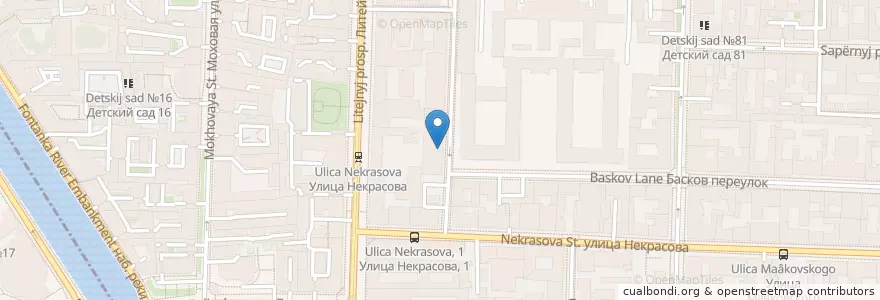 Mapa de ubicacion de Невис en ロシア, 北西連邦管区, レニングラード州, サンクト ペテルブルク, Центральный Район, Литейный Округ.
