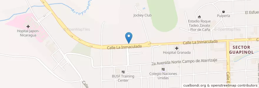 Mapa de ubicacion de Veterinario en Nicaragua, Granada, Granada (Municipio).