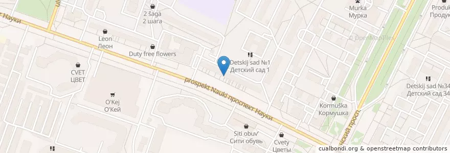 Mapa de ubicacion de Цех 85 en Rusia, Северо-Западный Федеральный Округ, Óblast De Leningrado, San Petersburgo, Калининский Район, Округ Академическое.