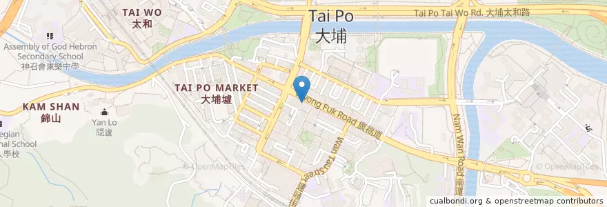 Mapa de ubicacion de 和興中西藥房 en 중국, 홍콩, 광둥성, 신제, 大埔區 Tai Po District.