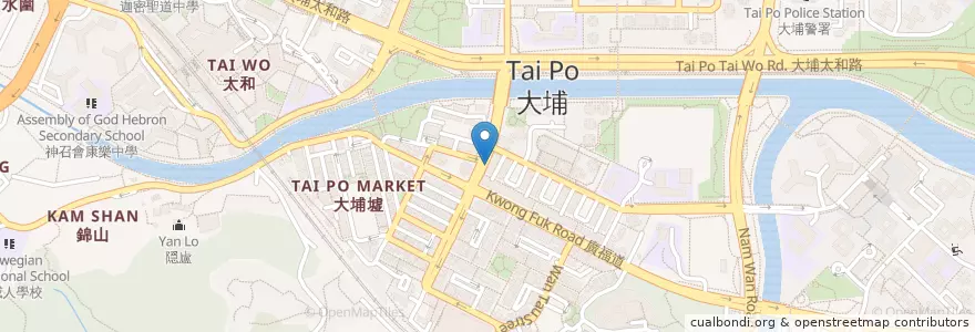 Mapa de ubicacion de 健誼醫務所 en 中国, 香港, 广东省, 新界, 大埔區.