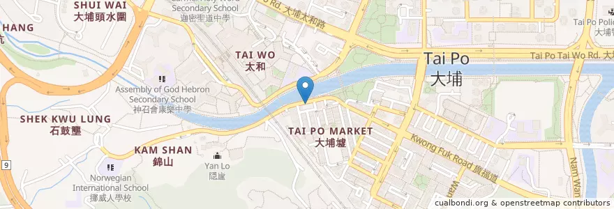 Mapa de ubicacion de 西醫吳愷 en China, Hong Kong, Guangdong, New Territories, Tai Po District.