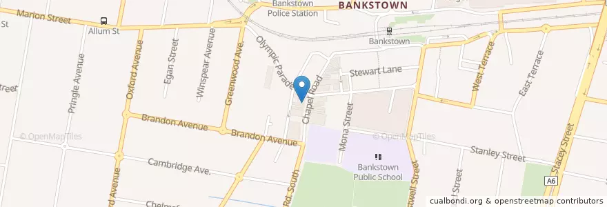 Mapa de ubicacion de Big Hong Kong Garden en 오스트레일리아, New South Wales, Canterbury-Bankstown Council, 시드니.