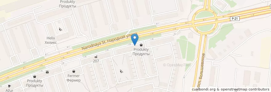 Mapa de ubicacion de Лев en Rusland, Северо-Западный Федеральный Округ, Oblast Leningrad, Sint-Petersburg, Невский Район, Народный Округ.
