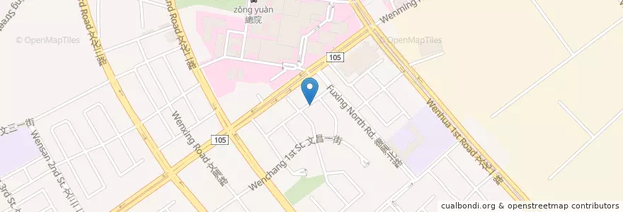 Mapa de ubicacion de 大王麵匠 en 타이완, 타오위안 시.