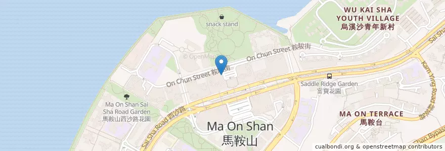 Mapa de ubicacion de 天仁茗茶 TenRen's Tea en 中国, 香港, 广东省, 新界, 沙田區.