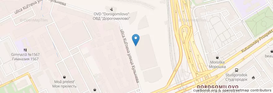 Mapa de ubicacion de Неофарм en Russia, Distretto Federale Centrale, Москва, Западный Административный Округ, Район Дорогомилово.