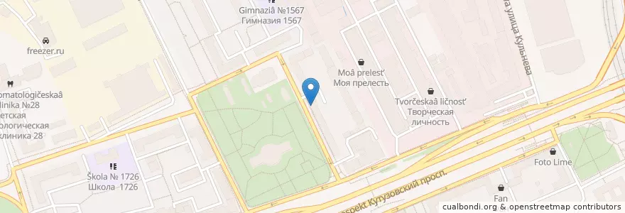Mapa de ubicacion de Beau Rivage en روسيا, Центральный Федеральный Округ, Москва, Западный Административный Округ, Район Дорогомилово.