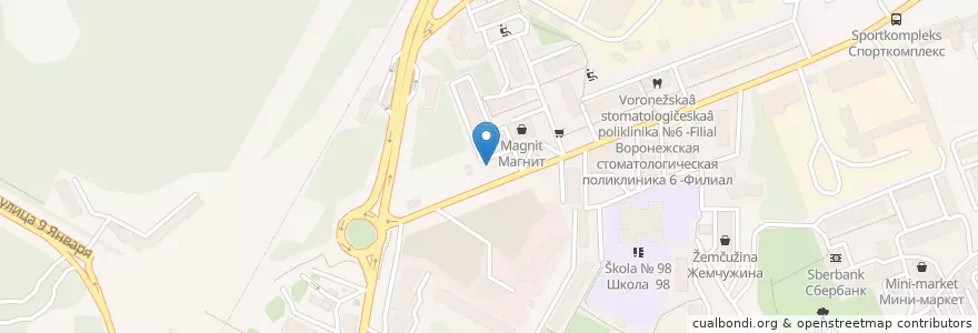 Mapa de ubicacion de Дельфин en ロシア, 中央連邦管区, Воронежская Область, Городской Округ Воронеж.