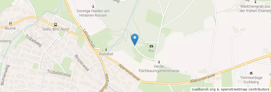 Mapa de ubicacion de Ruhebänkli VVS, Risi Stäfa en 瑞士, 蘇黎世, Bezirk Meilen, Stäfa.