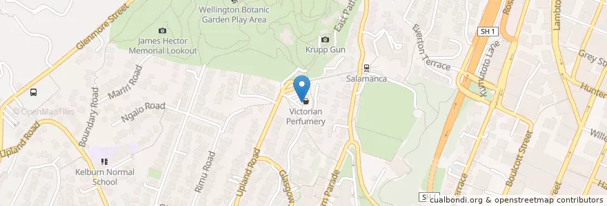Mapa de ubicacion de Kelburn Pharmacy en نيوزيلندا, Wellington, Wellington City.