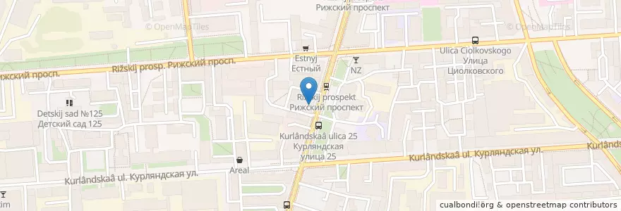 Mapa de ubicacion de Чито Гврито en Russie, District Fédéral Du Nord-Ouest, Oblast De Léningrad, Saint-Pétersbourg, Адмиралтейский Район, Екатерингофский Округ.
