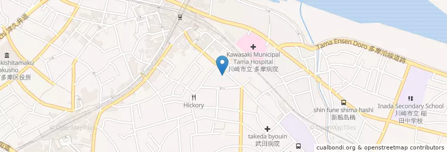 Mapa de ubicacion de ナカヤマ薬局 en Japan, Kanagawa Prefecture, Kawasaki, Tama Ward.