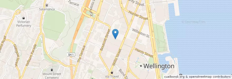 Mapa de ubicacion de Mojo en نيوزيلندا, Wellington, Wellington City.