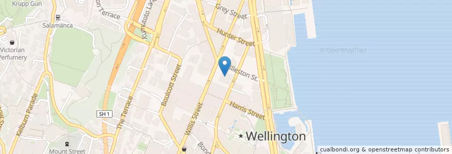 Mapa de ubicacion de South African High Commission en Yeni Zelanda, Wellington, Wellington City.