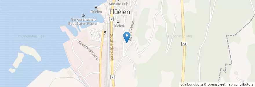 Mapa de ubicacion de Dr. Gamma en سويسرا, Uri, Flüelen.