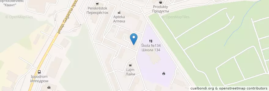 Mapa de ubicacion de Доктор Zoo НН en Rusia, Приволжский Федеральный Округ, Óblast De Nizhni Nóvgorod, Городской Округ Нижний Новгород.