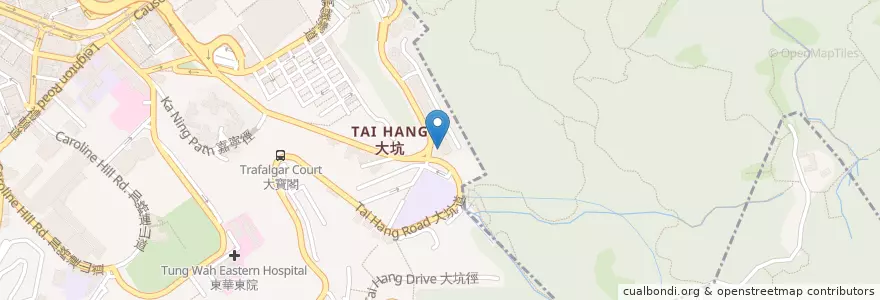 Mapa de ubicacion de MASS International Preschool en Çin, Guangdong, Hong Kong, Hong Kong Adası, Yeni Bölgeler, 灣仔區 Wan Chai District.