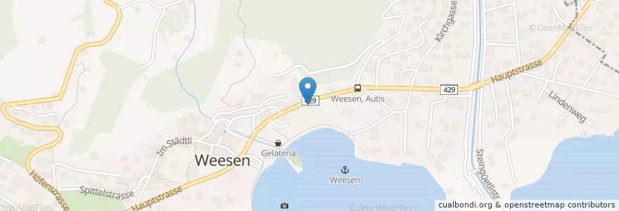 Mapa de ubicacion de Schweizerhof en Schweiz, Sankt Gallen, Wahlkreis See-Gaster, Weesen.